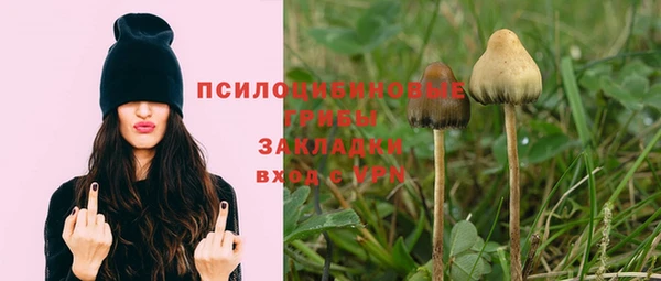 а пвп мука Алзамай