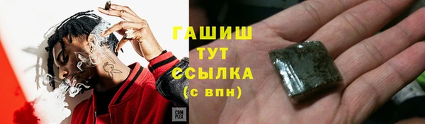 apvp Алексин