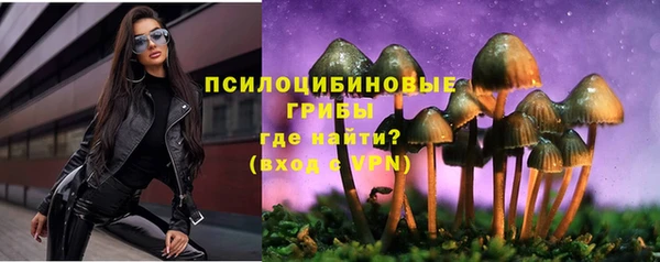 apvp Алексин