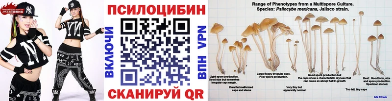 hydra как зайти  Кудрово  Галлюциногенные грибы мухоморы  где можно купить наркотик 