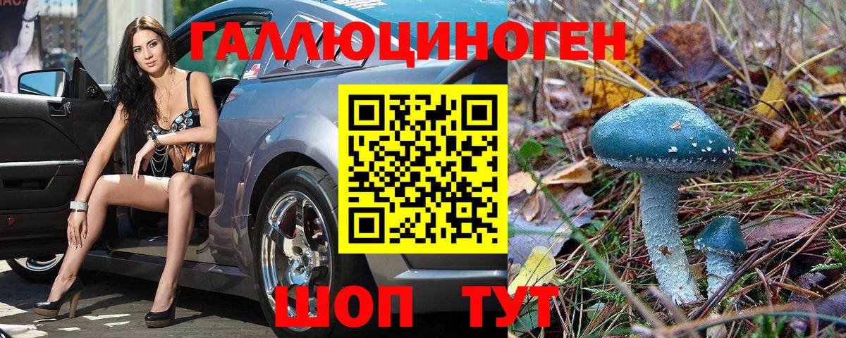 Псилоцибиновые грибы прущие грибы Кудрово