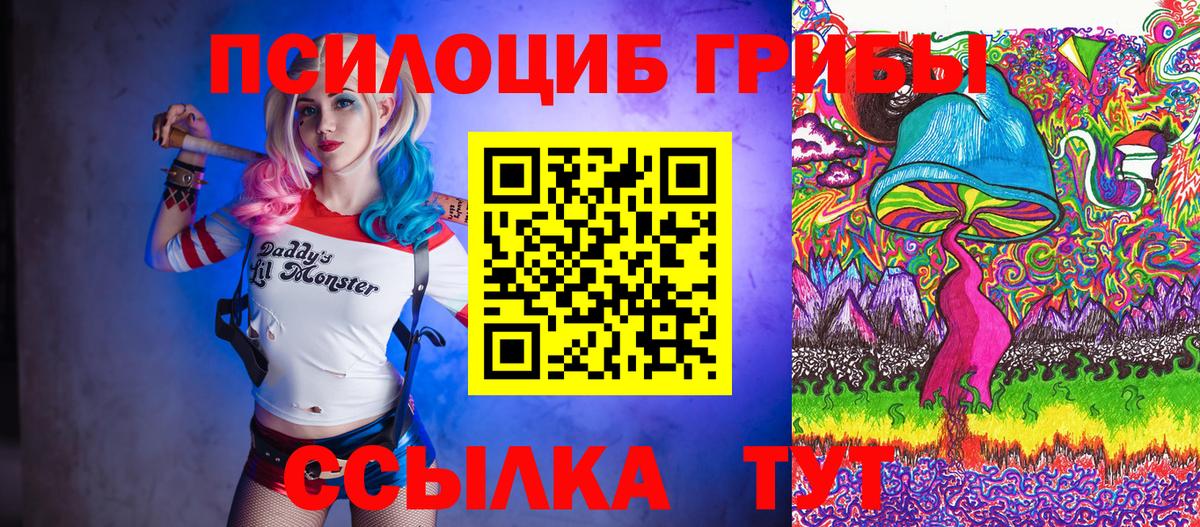 Кудрово  Псилоцибиновые грибы Psilocybine cubensis  Вход с VPN 